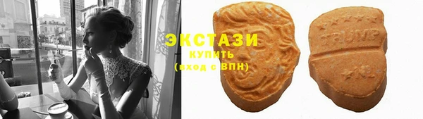 гашик Богородицк