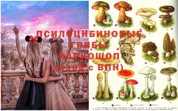 гашишное масло Богданович
