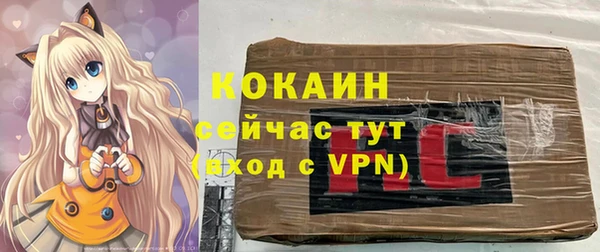 соль ск Богородск